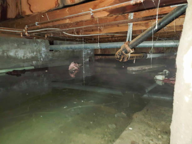  Cedar Creek, TX Water damage restoration Pros