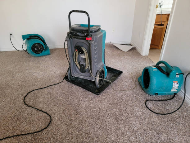 Best Water damage restoration cost  in Cedar Creek, TX