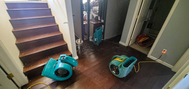 Best Local water damage restoration  in Cedar Creek, TX