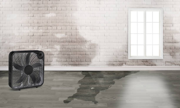 Best Commercial water damage restoration  in Cedar Creek, TX
