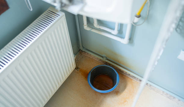 Best Fire Damage Restoration  in Cedar Creek, TX