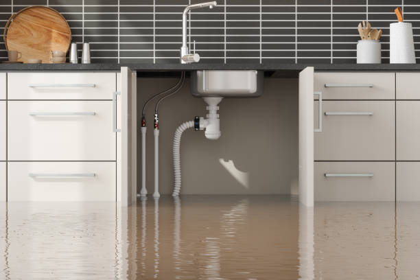 Best Water damage contractors near me  in Cedar Creek, TX